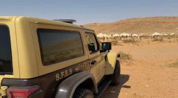 ضبط مواطن لمخالفته أنظمة الرعي والإضرار بالغطاء النباتي في محمية الملك عبدالعزيز